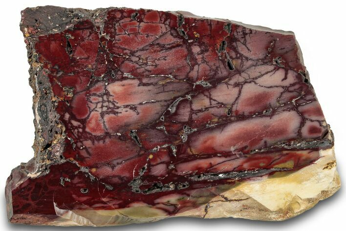 Vibrant Polished Mookaite Jasper Slab - Australia #314282